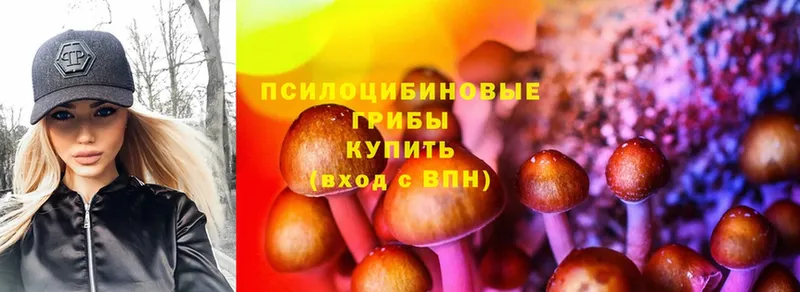 Галлюциногенные грибы MAGIC MUSHROOMS  Цоци-Юрт 